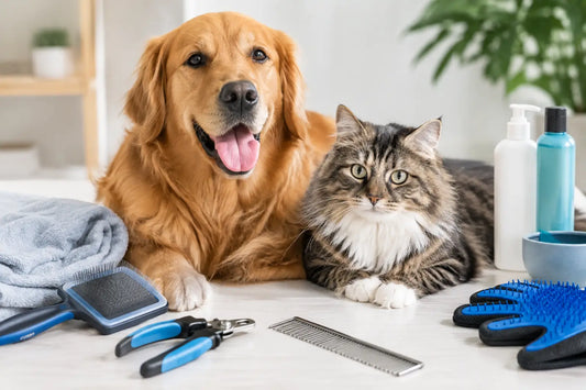 Accessori grooming per cani e gatti utili ogni giorno